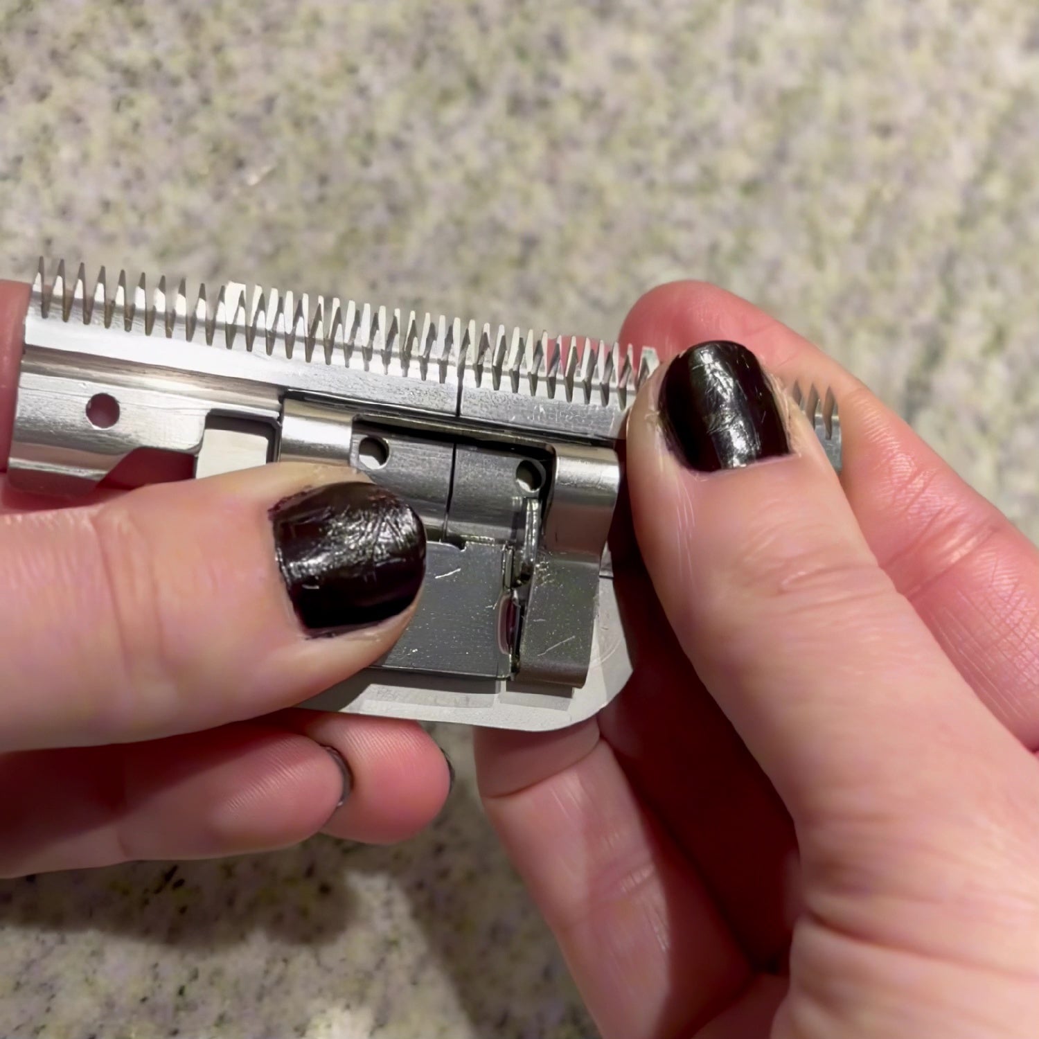 Abbie The Groomer: Swap Cutters on a Groomsaber Blade